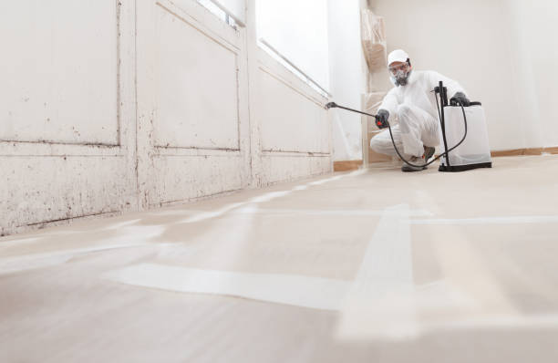24/7 Emergency Mold Removal experts in Woodbridge, VA