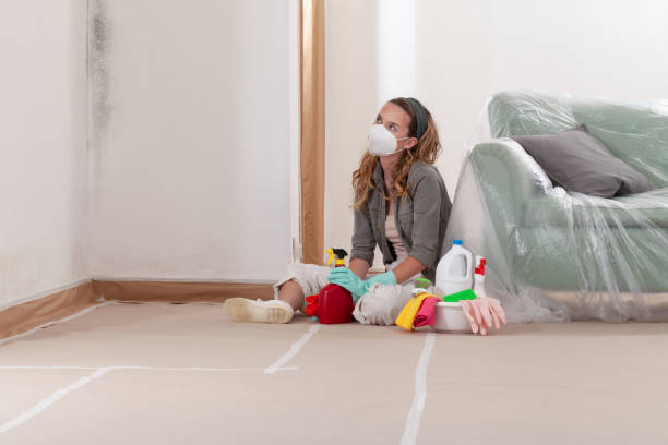 Reliable Mold Removal contractor in Woodbridge, VA by Mold Remediation HQ